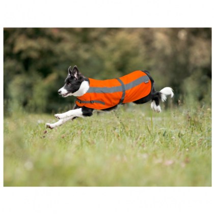 Orange flecta coat.jpg